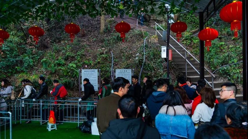 午夜熟女插插XX免费视频