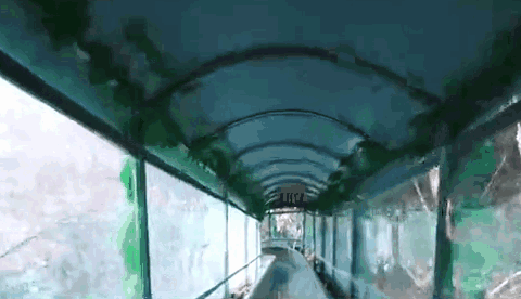 午夜熟女插插XX免费视频