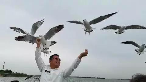 午夜熟女插插XX免费视频