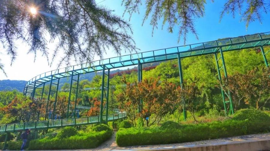 午夜熟女插插XX免费视频