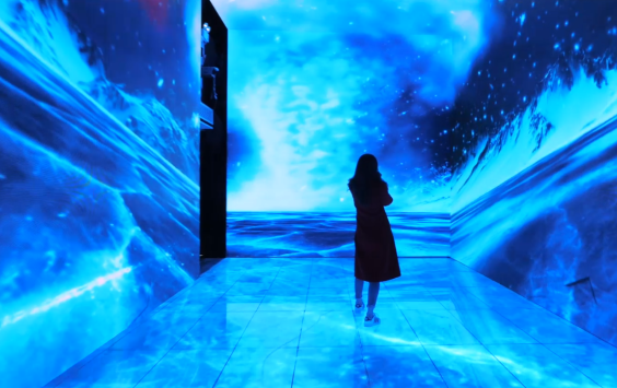 午夜熟女插插XX免费视频