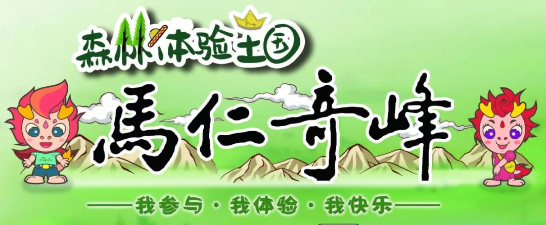 午夜熟女插插XX免费视频