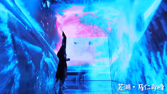 午夜熟女插插XX免费视频