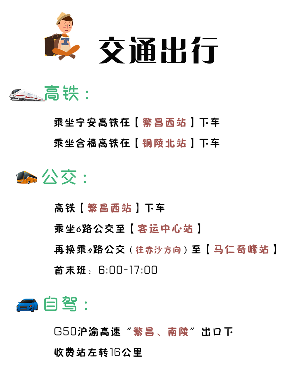 午夜熟女插插XX免费视频