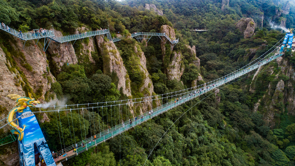 午夜熟女插插XX免费视频