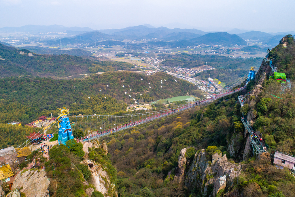 午夜熟女插插XX免费视频