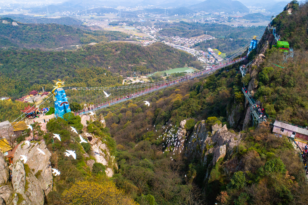 午夜熟女插插XX免费视频