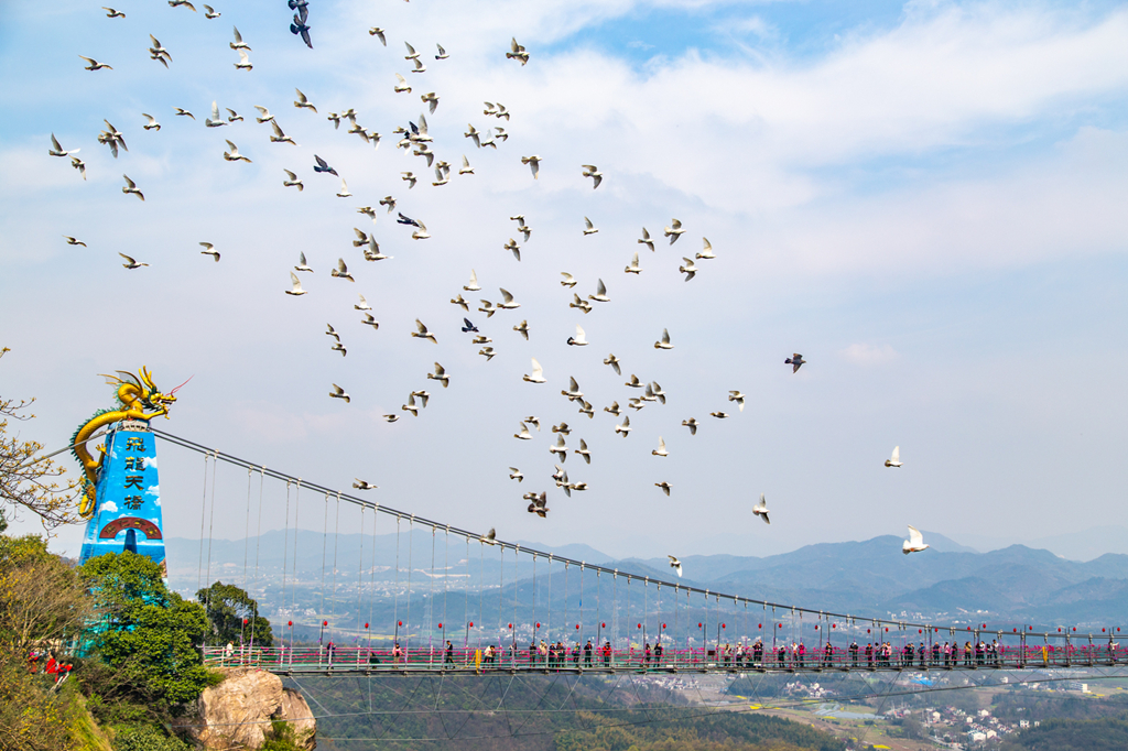 午夜熟女插插XX免费视频