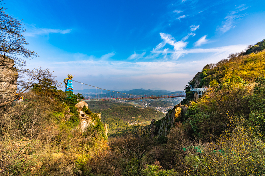 午夜熟女插插XX免费视频