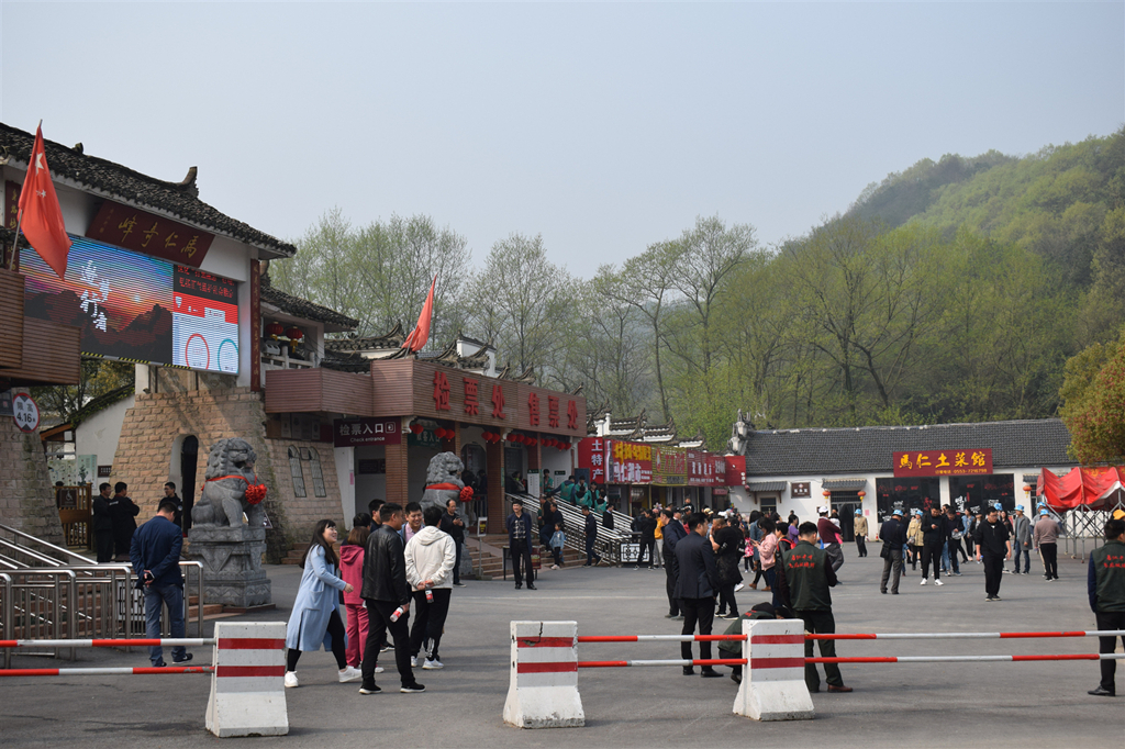 午夜熟女插插XX免费视频