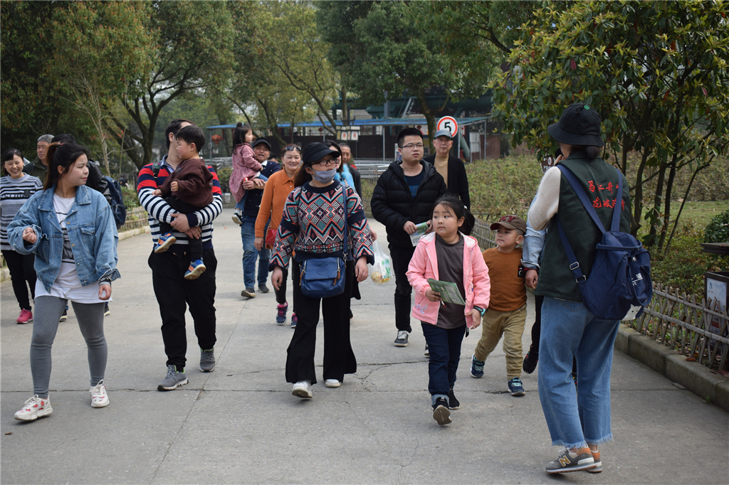 午夜熟女插插XX免费视频