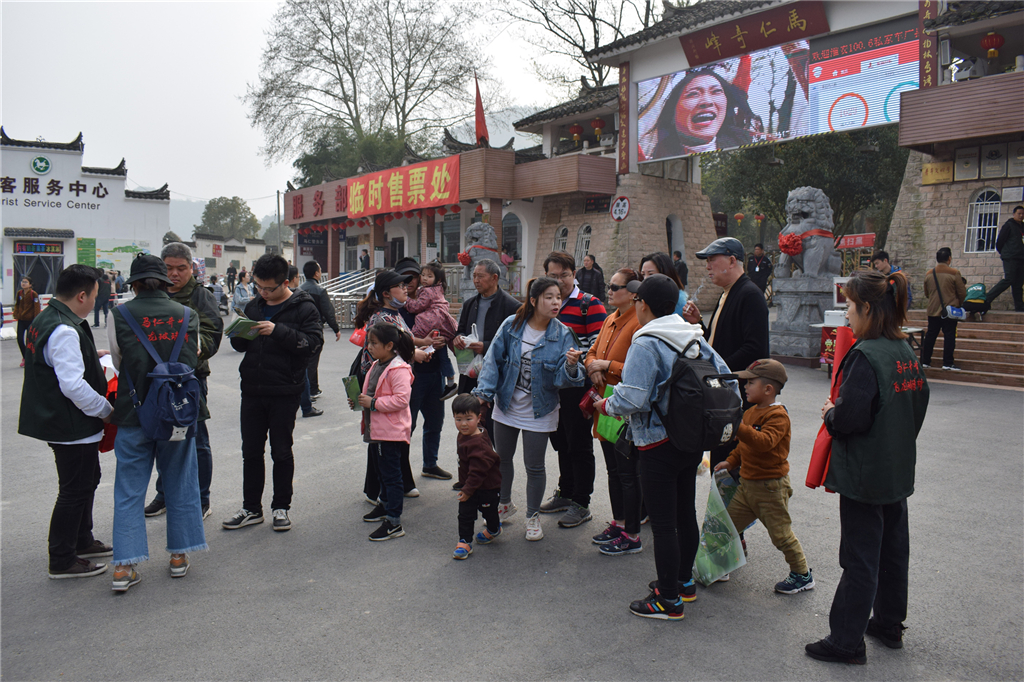 午夜熟女插插XX免费视频