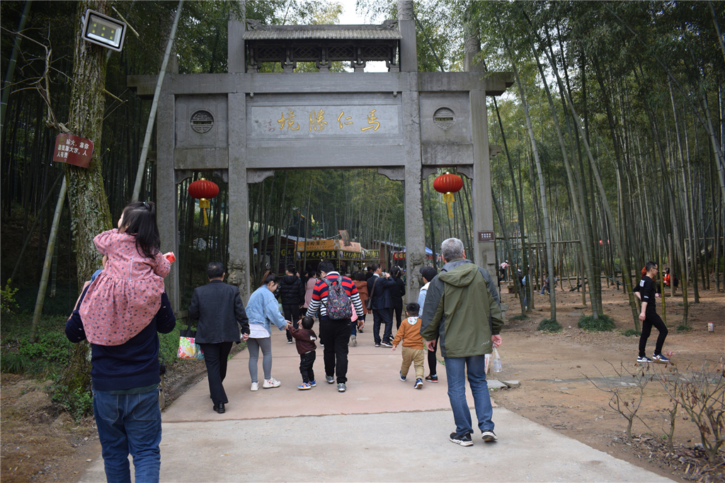 午夜熟女插插XX免费视频