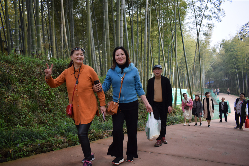 午夜熟女插插XX免费视频