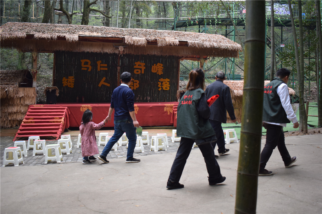 午夜熟女插插XX免费视频