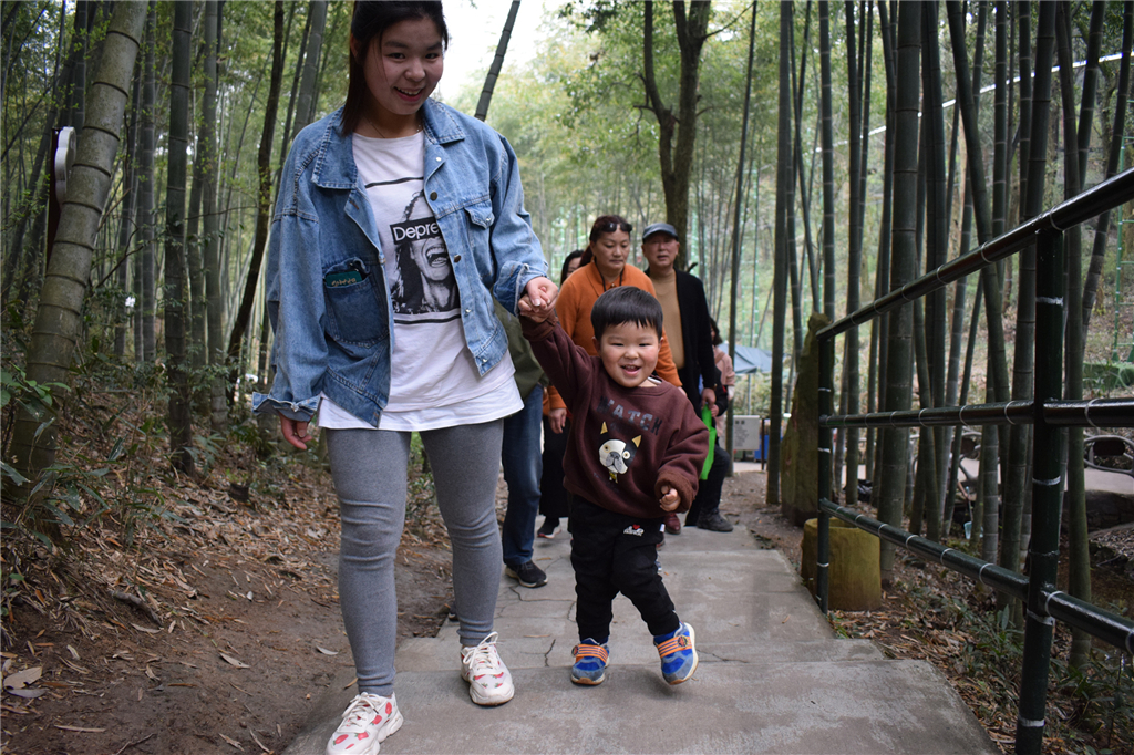 午夜熟女插插XX免费视频