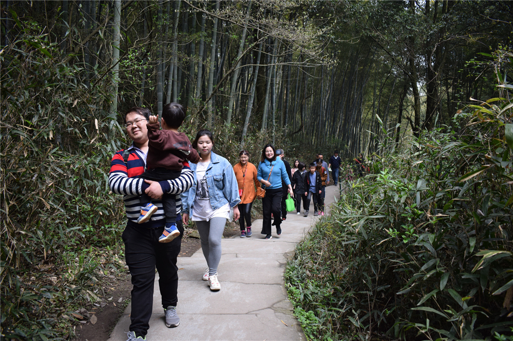 午夜熟女插插XX免费视频