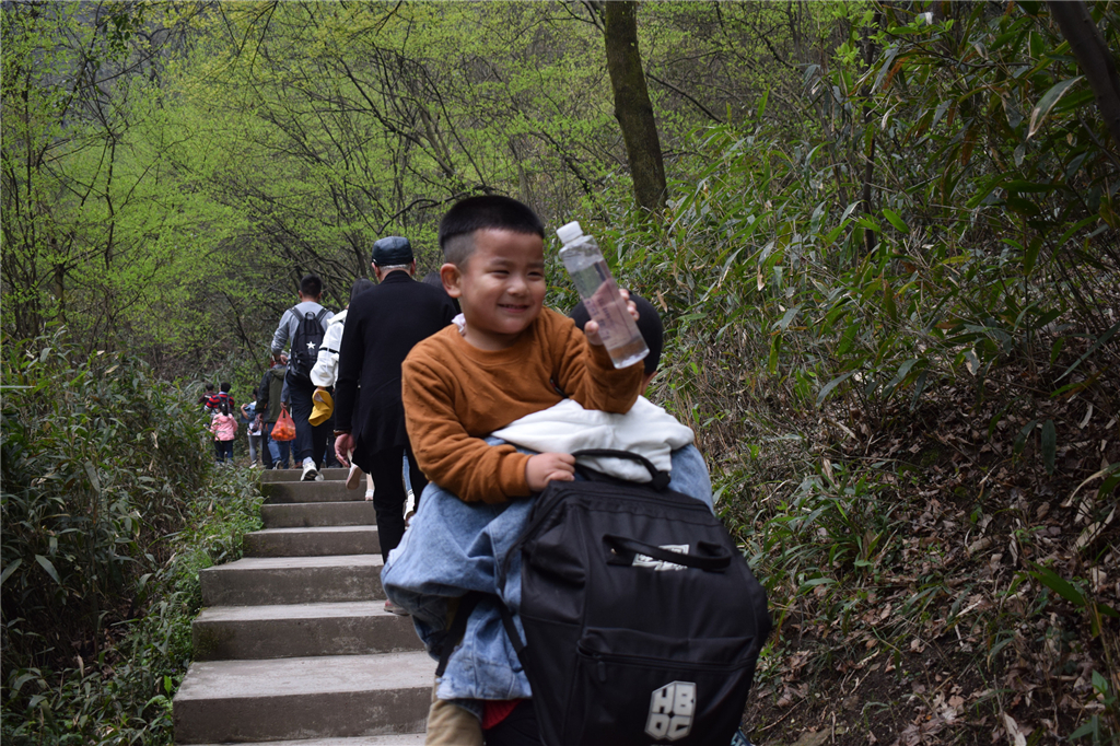 午夜熟女插插XX免费视频