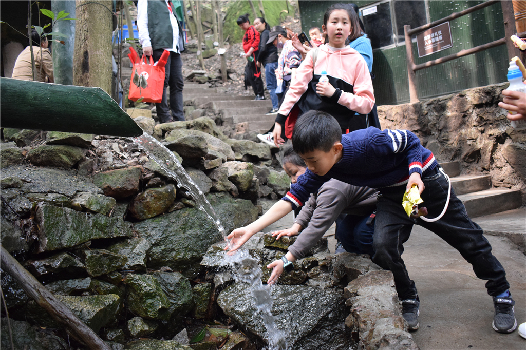 午夜熟女插插XX免费视频