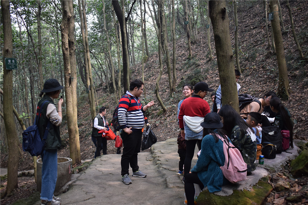 午夜熟女插插XX免费视频