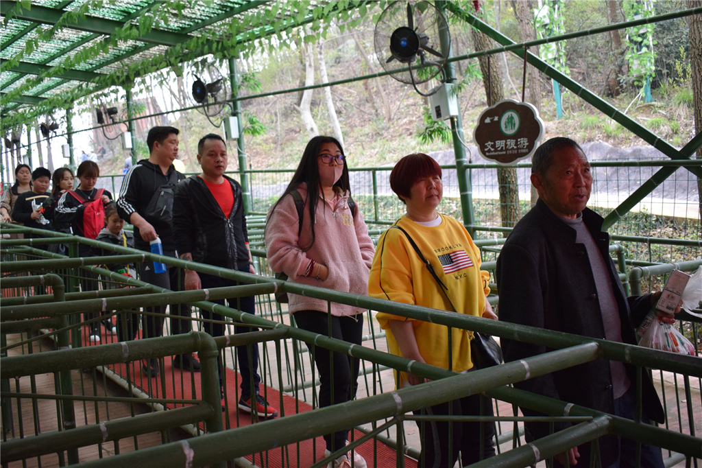 午夜熟女插插XX免费视频