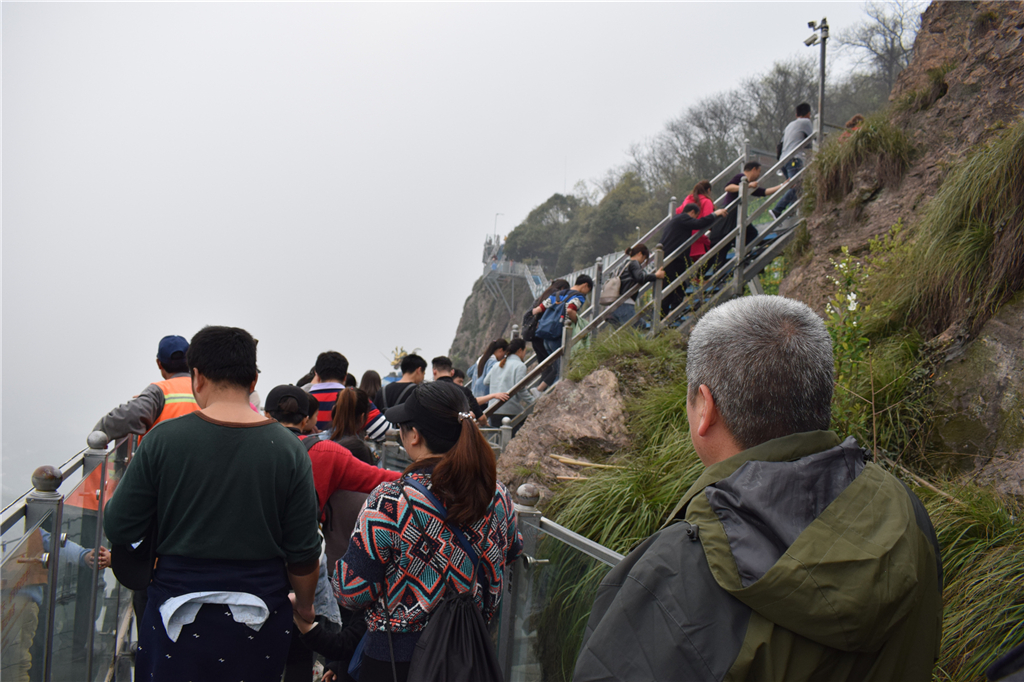 午夜熟女插插XX免费视频