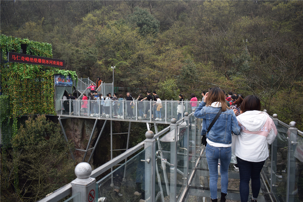 午夜熟女插插XX免费视频