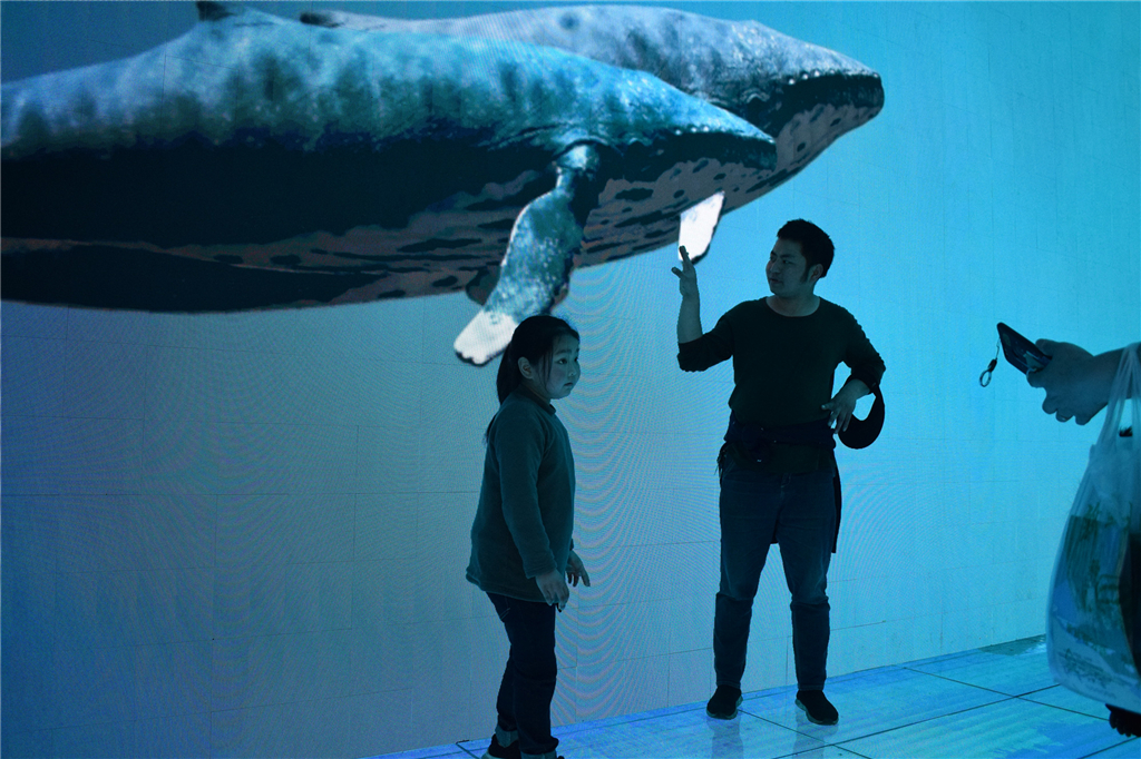 午夜熟女插插XX免费视频