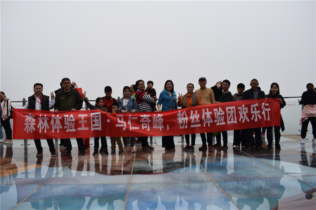 午夜熟女插插XX免费视频