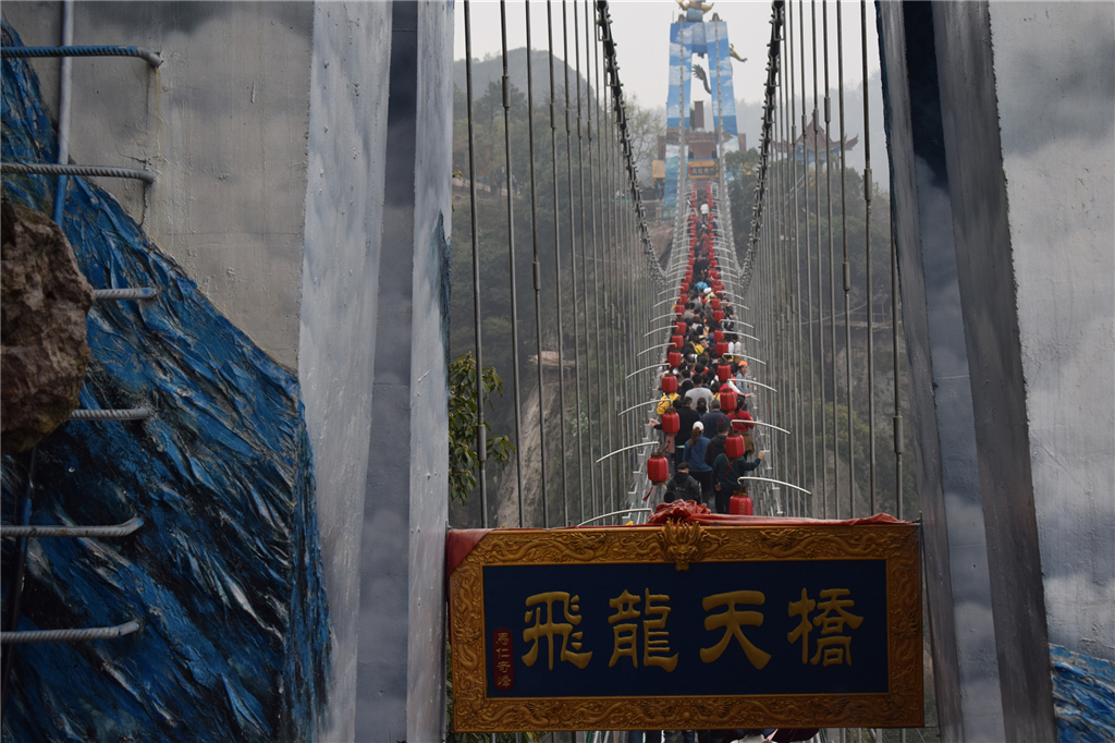 午夜熟女插插XX免费视频