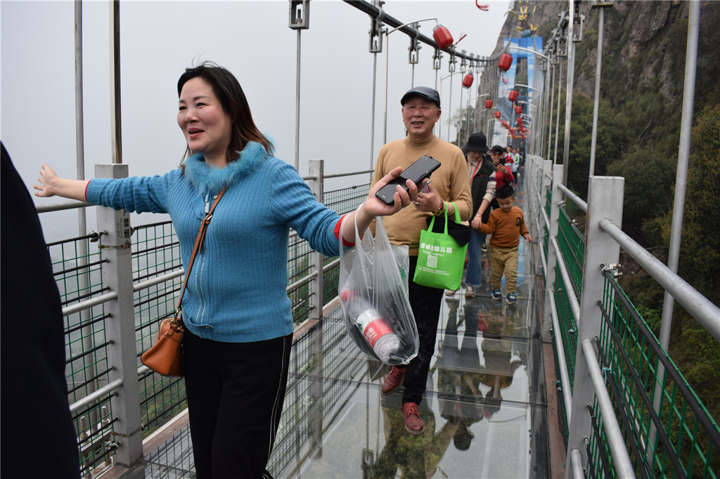 午夜熟女插插XX免费视频