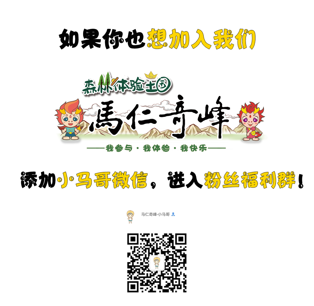 午夜熟女插插XX免费视频