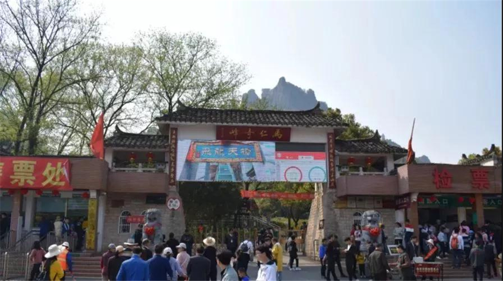 午夜熟女插插XX免费视频