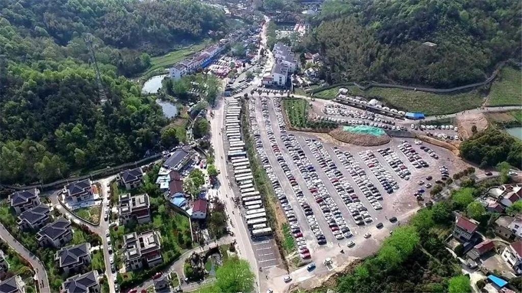 午夜熟女插插XX免费视频