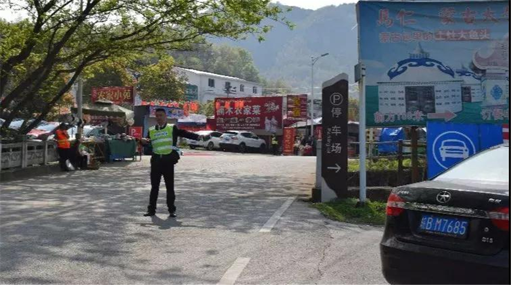 午夜熟女插插XX免费视频