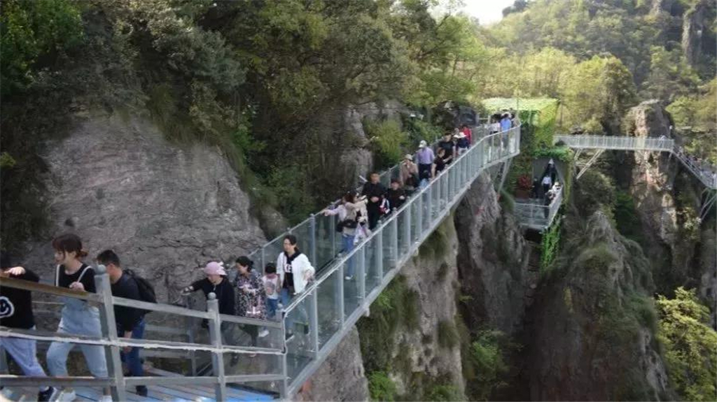 午夜熟女插插XX免费视频