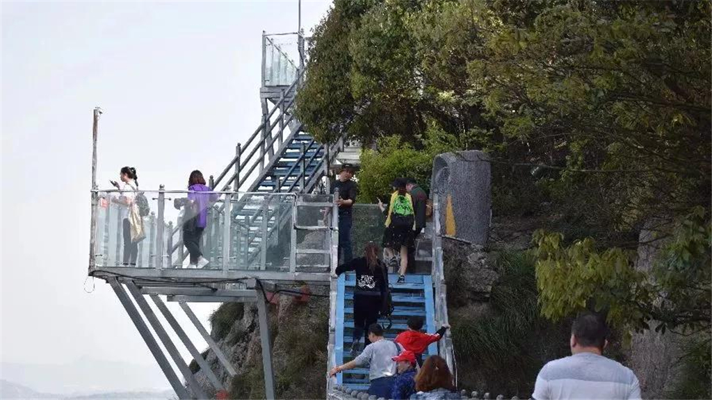 午夜熟女插插XX免费视频