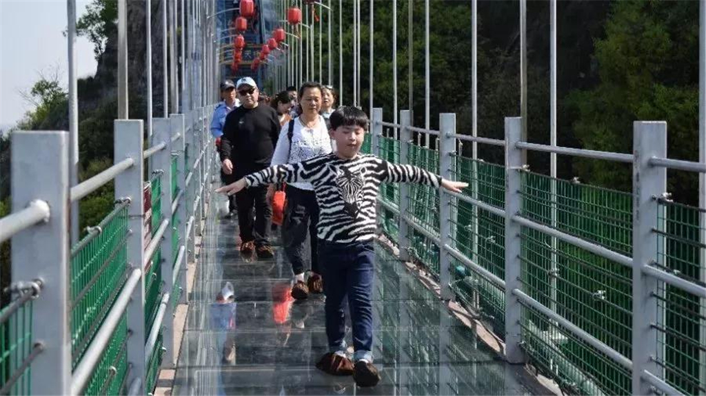 午夜熟女插插XX免费视频