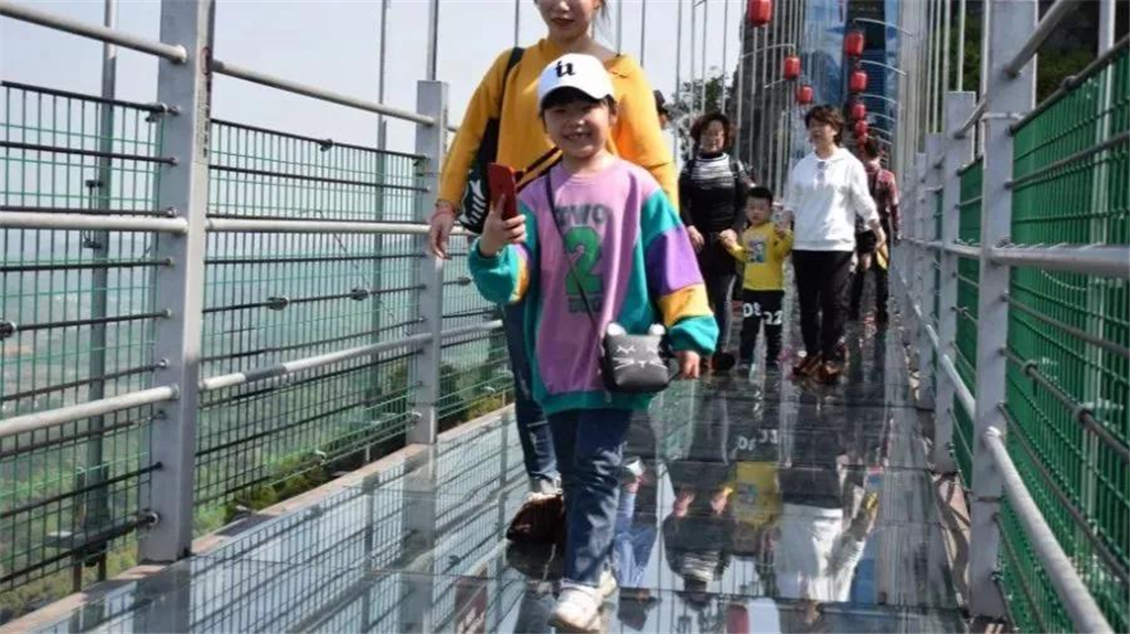 午夜熟女插插XX免费视频