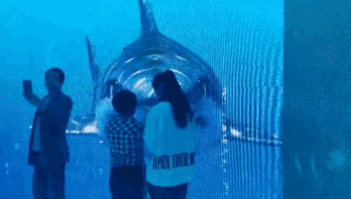 午夜熟女插插XX免费视频