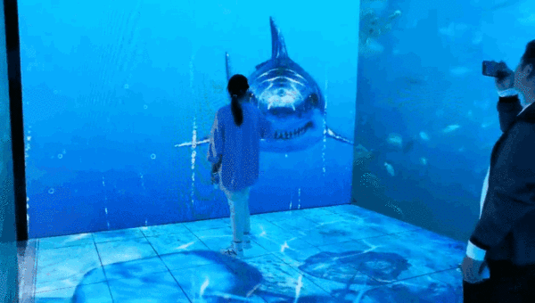 午夜熟女插插XX免费视频