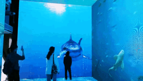 午夜熟女插插XX免费视频