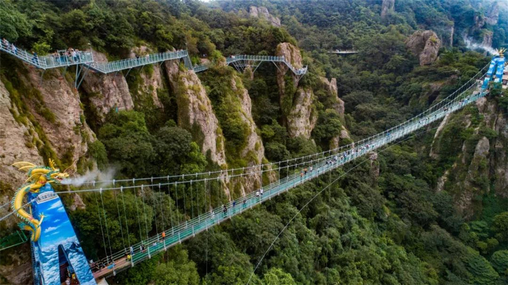 午夜熟女插插XX免费视频