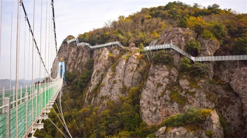 午夜熟女插插XX免费视频