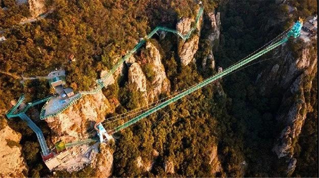 午夜熟女插插XX免费视频