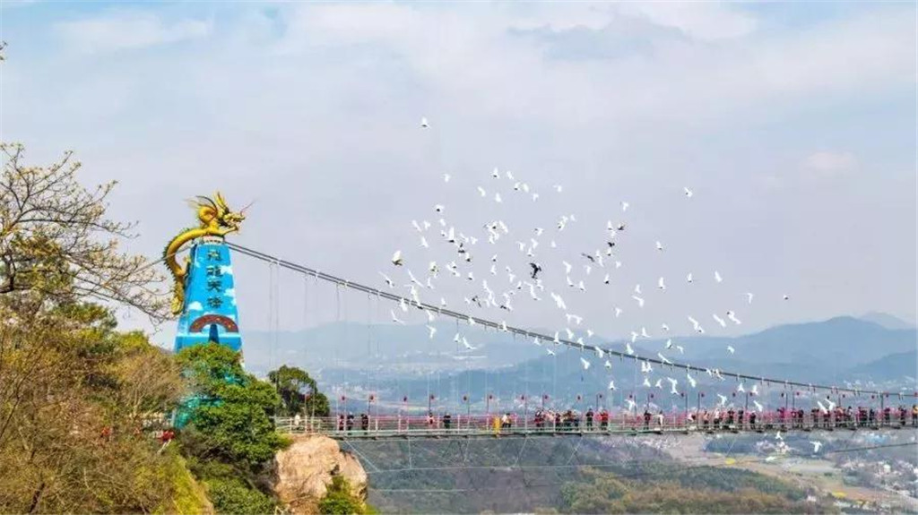 午夜熟女插插XX免费视频