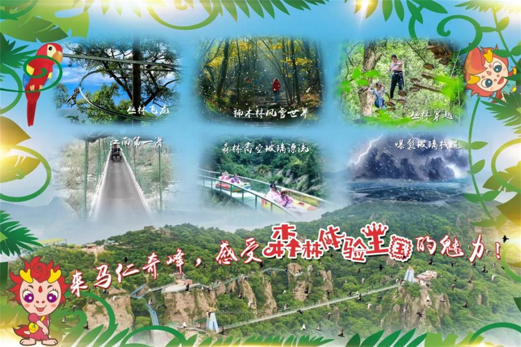 午夜熟女插插XX免费视频