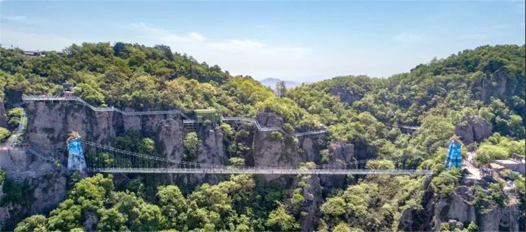 午夜熟女插插XX免费视频