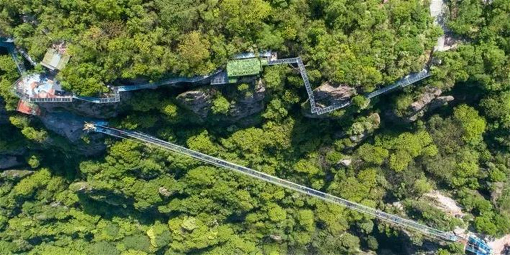 午夜熟女插插XX免费视频