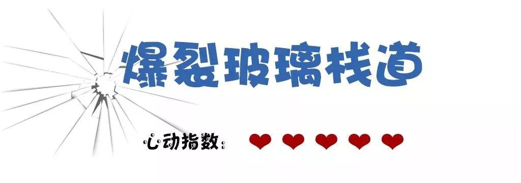 午夜熟女插插XX免费视频